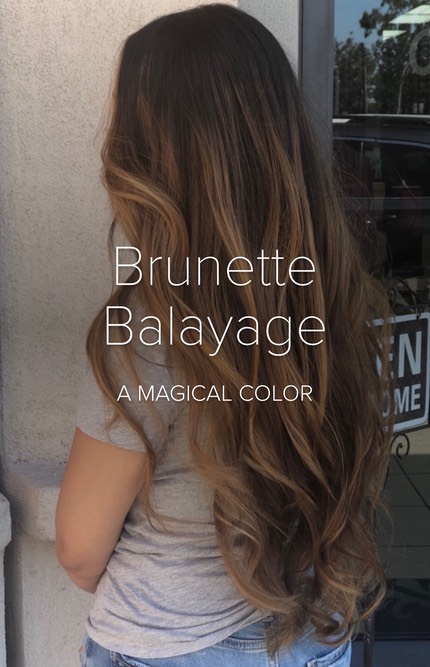 Brunette long hair balayage hand painting 

IMG_8771
