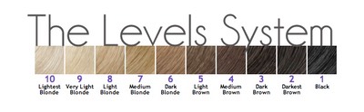 Hair color level system chart